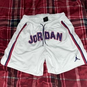 Adult large Jordan mesh gym shorts